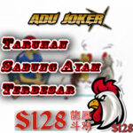 AduJoker☯S128•Sabung Ayam•Judi S1288•Agen S1288•Adu Ayam•Login S128•Agen Sv388•S1288•Sabung Ayam Live