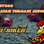 AduJoker✼Situs Sv388✼Bandar Sv388✼Sv388 Sabung Ayam✼Agen Sv388✼Judi Sv388✼Daftar Sv388✼Login Sv388✼Laga Ayam✼