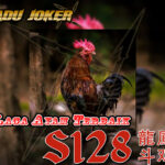 AduJoker℠Laga Ayam✶Judi S128✶Adu Ayam✶Agen S128✶S1288✶Judi S1288✶Agen S1288✶Daftar S1288✶Sabung Ayam S1288✶Sv388